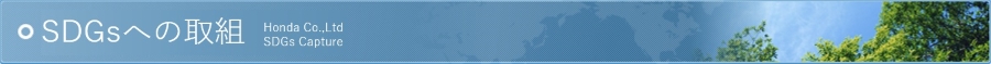 SDGsւ̎g