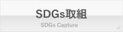 SDGsւ̎g