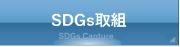 SDGsւ̎g