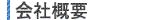 ЊTv